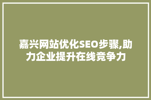 嘉兴网站优化SEO步骤,助力企业提升在线竞争力