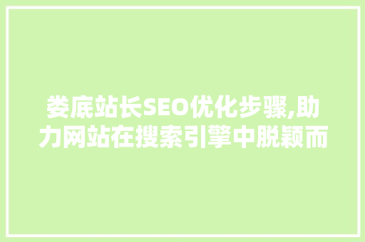 娄底站长SEO优化步骤,助力网站在搜索引擎中脱颖而出