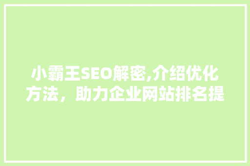 小霸王SEO解密,介绍优化方法，助力企业网站排名提升