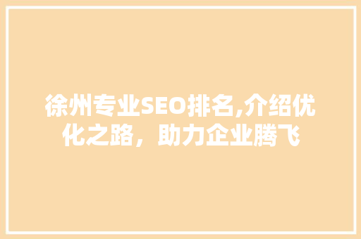 徐州专业SEO排名,介绍优化之路，助力企业腾飞