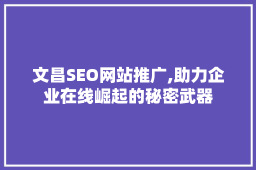 文昌SEO网站推广,助力企业在线崛起的秘密武器