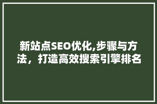 新站点SEO优化,步骤与方法，打造高效搜索引擎排名