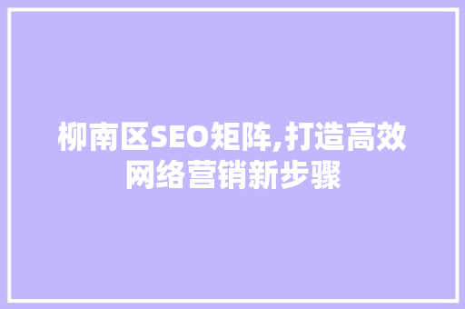 柳南区SEO矩阵,打造高效网络营销新步骤