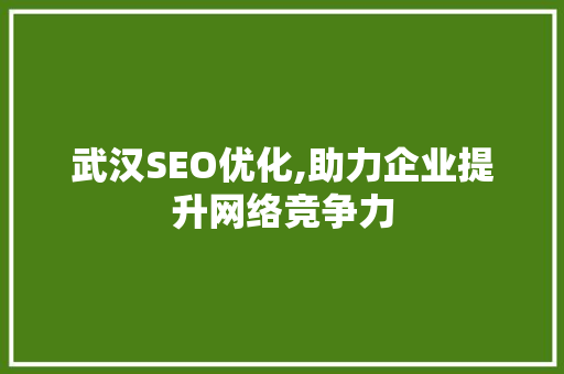 武汉SEO优化,助力企业提升网络竞争力