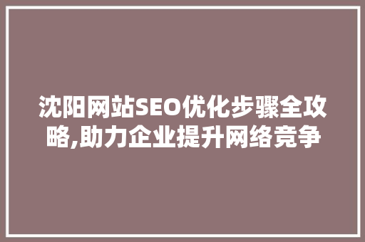 沈阳网站SEO优化步骤全攻略,助力企业提升网络竞争力