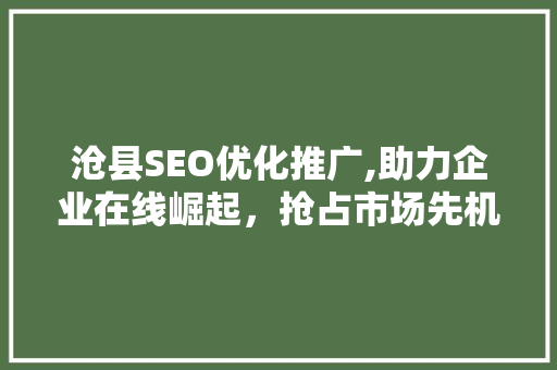沧县SEO优化推广,助力企业在线崛起，抢占市场先机