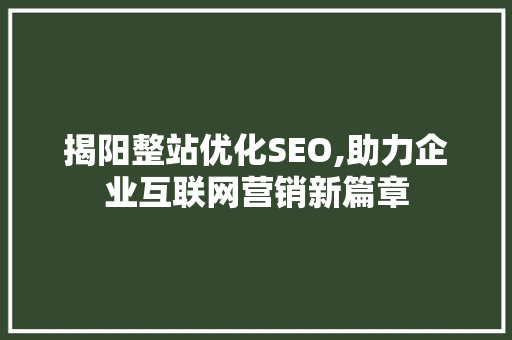 揭阳整站优化SEO,助力企业互联网营销新篇章  第1张