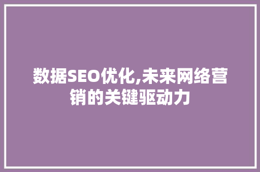 数据SEO优化,未来网络营销的关键驱动力