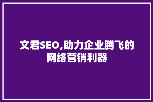文君SEO,助力企业腾飞的网络营销利器