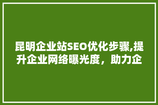昆明企业站SEO优化步骤,提升企业网络曝光度，助力企业腾飞