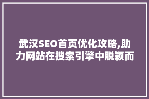 武汉SEO首页优化攻略,助力网站在搜索引擎中脱颖而出