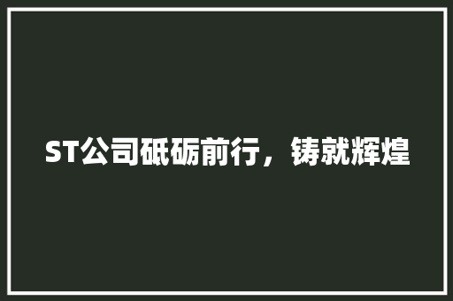 ST公司砥砺前行，铸就辉煌