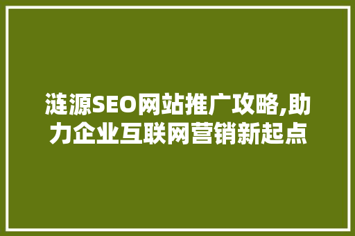 涟源SEO网站推广攻略,助力企业互联网营销新起点