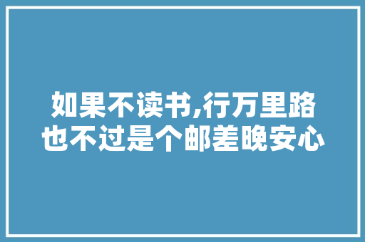 深圳SEO优化战略,解码搜索引擎排名之路
