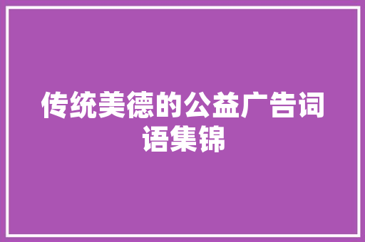深圳SEO行业年薪介绍,薪资水平与职业发展前景分析
