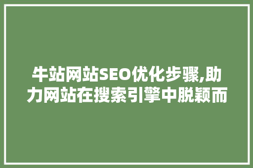 牛站网站SEO优化步骤,助力网站在搜索引擎中脱颖而出