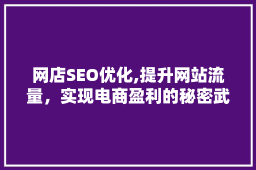 网店SEO优化,提升网站流量，实现电商盈利的秘密武器