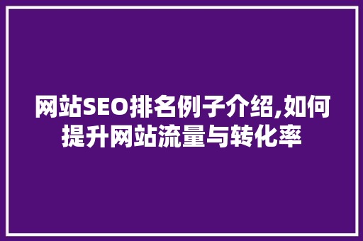 网站SEO排名例子介绍,如何提升网站流量与转化率