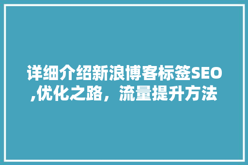 详细介绍新浪博客标签SEO,优化之路，流量提升方法