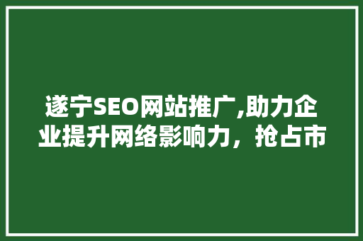 遂宁SEO网站推广,助力企业提升网络影响力，抢占市场先机