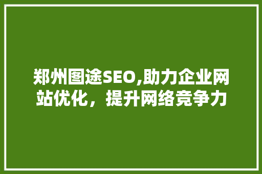 郑州图途SEO,助力企业网站优化，提升网络竞争力