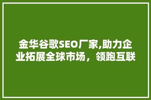 金华谷歌SEO厂家,助力企业拓展全球市场，领跑互联网时代