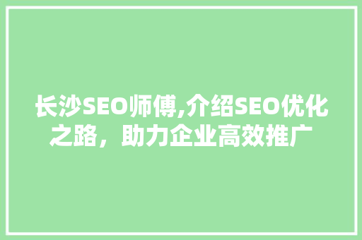 长沙SEO师傅,介绍SEO优化之路，助力企业高效推广