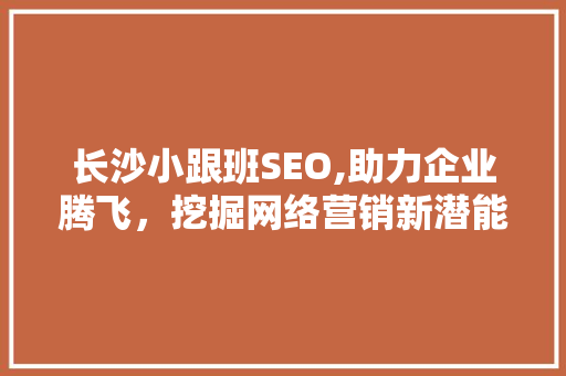 长沙小跟班SEO,助力企业腾飞，挖掘网络营销新潜能