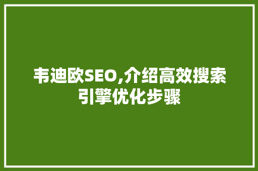 韦迪欧SEO,介绍高效搜索引擎优化步骤