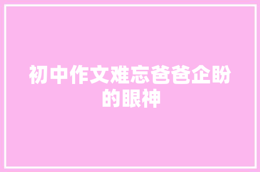 鼎湖SEO优化排名,助力企业抢占互联网市场制高点