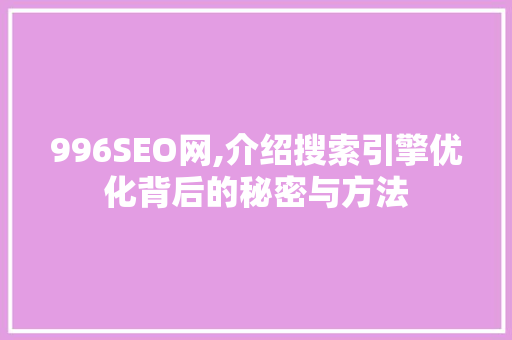996SEO网,介绍搜索引擎优化背后的秘密与方法