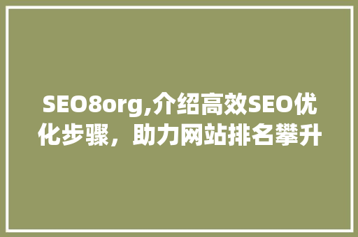 SEO8org,介绍高效SEO优化步骤，助力网站排名攀升