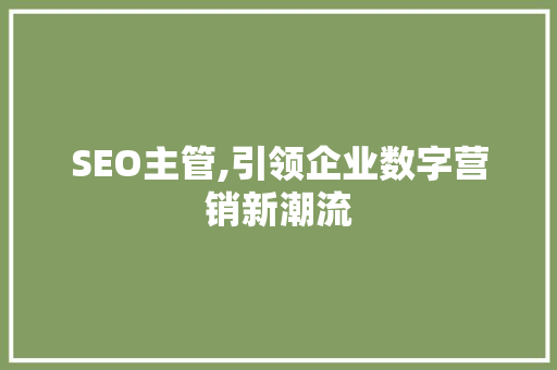 SEO主管,引领企业数字营销新潮流