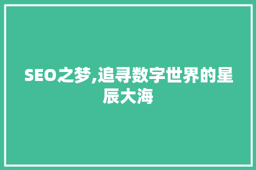 SEO之梦,追寻数字世界的星辰大海