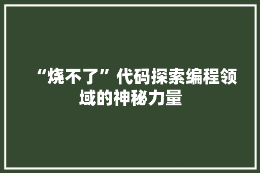 “烧不了”代码探索编程领域的神秘力量