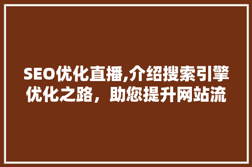SEO优化直播,介绍搜索引擎优化之路，助您提升网站流量与排名