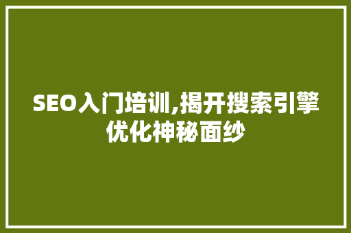 SEO入门培训,揭开搜索引擎优化神秘面纱