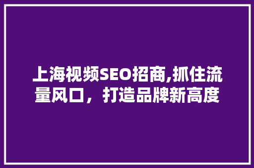 上海视频SEO招商,抓住流量风口，打造品牌新高度
