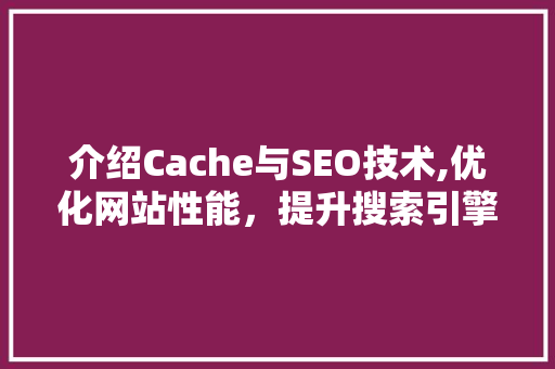 介绍Cache与SEO技术,优化网站性能，提升搜索引擎排名