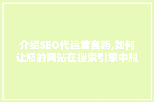 介绍SEO代运营套路,如何让您的网站在搜索引擎中脱颖而出