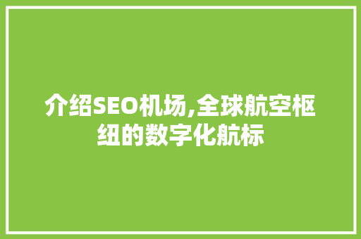 介绍SEO机场,全球航空枢纽的数字化航标