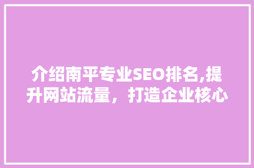 介绍南平专业SEO排名,提升网站流量，打造企业核心竞争力
