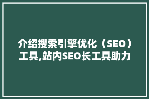 介绍搜索引擎优化（SEO）工具,站内SEO长工具助力网站优化之路