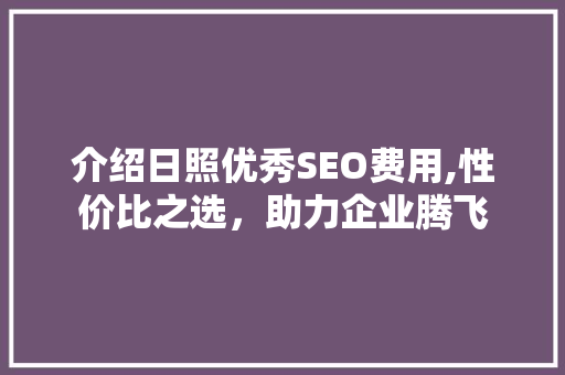 介绍日照优秀SEO费用,性价比之选，助力企业腾飞