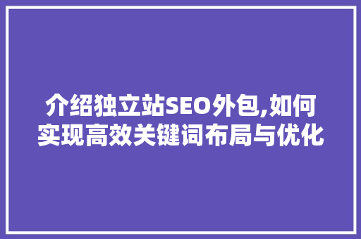 介绍独立站SEO外包,如何实现高效关键词布局与优化