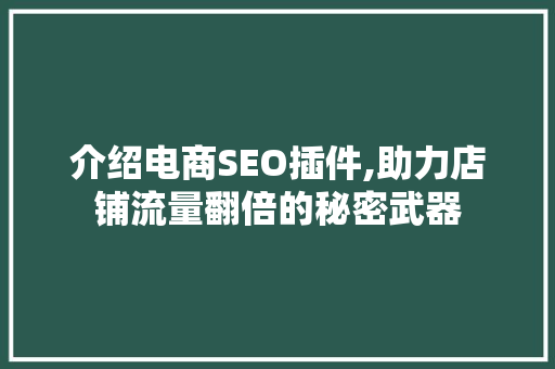 介绍电商SEO插件,助力店铺流量翻倍的秘密武器