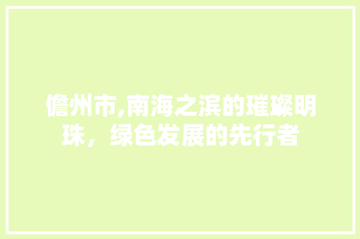 儋州市,南海之滨的璀璨明珠，绿色发展的先行者