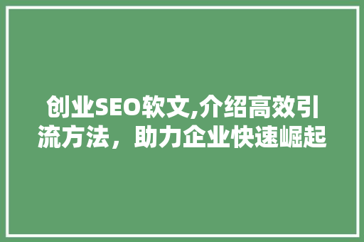 创业SEO软文,介绍高效引流方法，助力企业快速崛起！  第1张