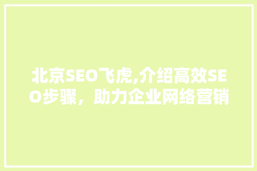北京SEO飞虎,介绍高效SEO步骤，助力企业网络营销腾飞