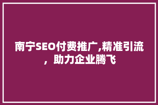 南宁SEO付费推广,精准引流，助力企业腾飞